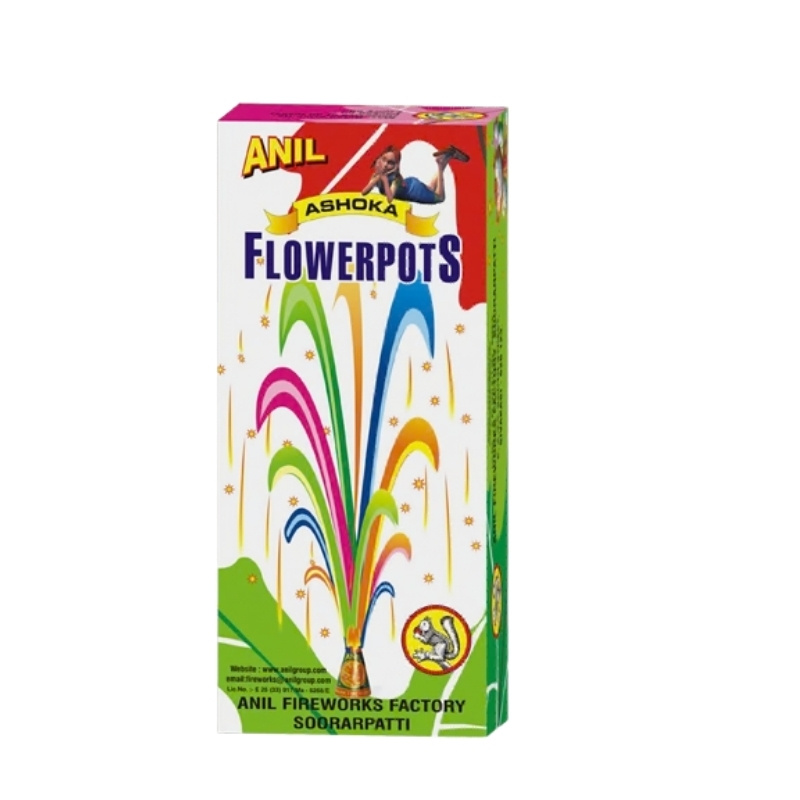 colourful flower pot